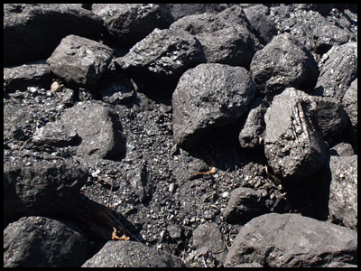 Марки угля и их применение